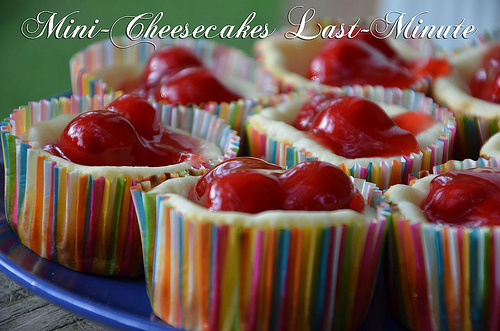 Mini-Cheesecakes Last-Minute