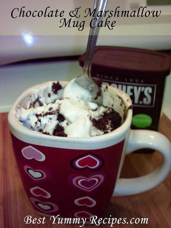 Chocolate & Marshmallow Mug Cake