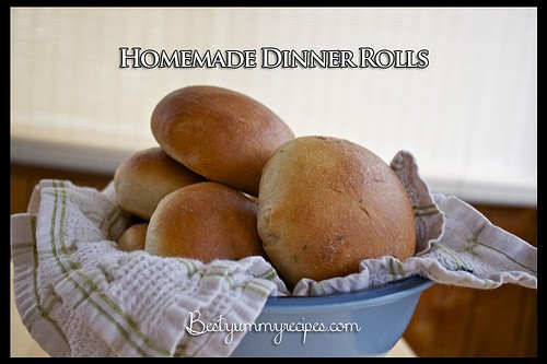 Dinner Rolls