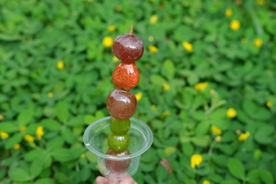 5 Tanghulu Recipe: How to Make Chinese Candied Fruit – A Classic Chinese Street Treat