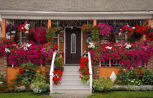 Many flower pots decorating home in city