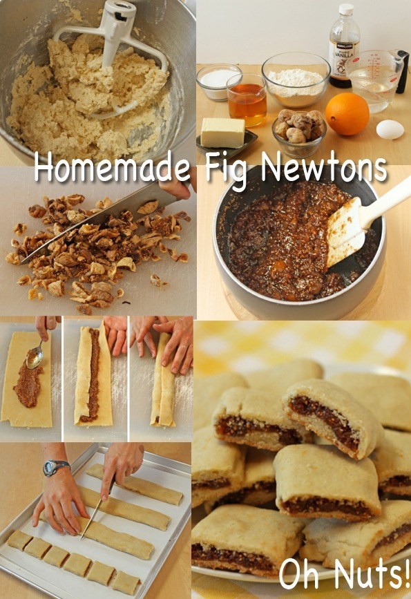 Homemade Fig Newtons