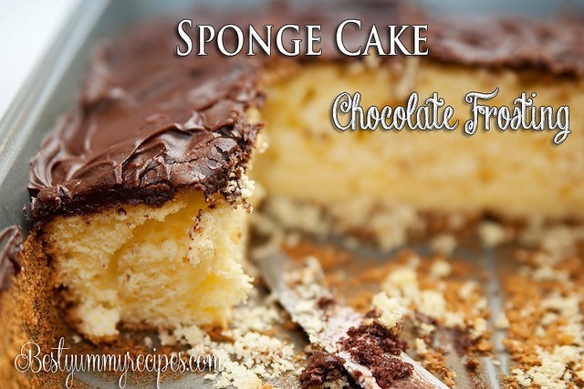Sponge Cake with Chocolate Frosting