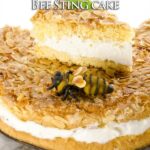 Bee Sting cake
