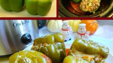 Crock Pot Recipes Stuffed Green Peppers